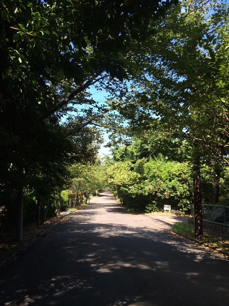 20140818_044234000_iOS