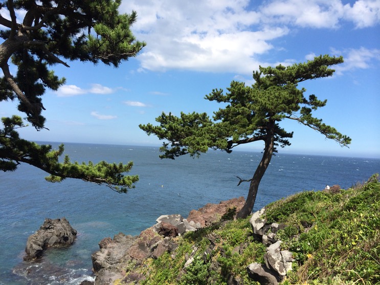 20140818_050231000_iOS