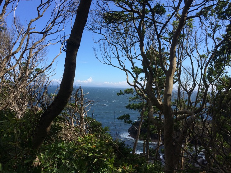 20140818_053034184_iOS