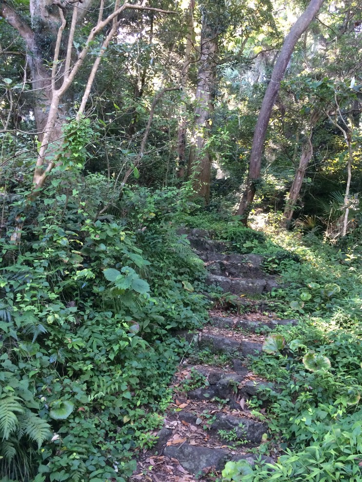 20140818_062701267_iOS