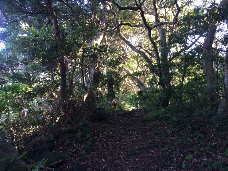 20140818_063614492_iOS