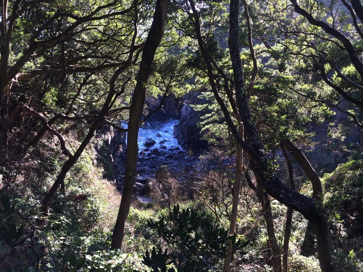 20140818_065705000_iOS