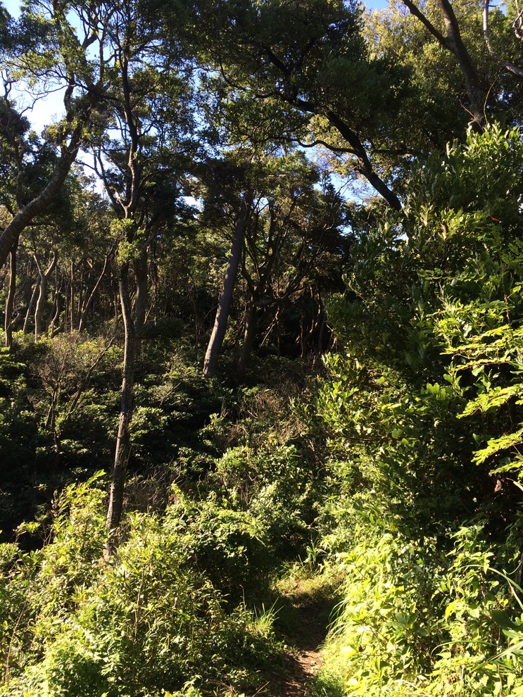 20140818_065716000_iOS