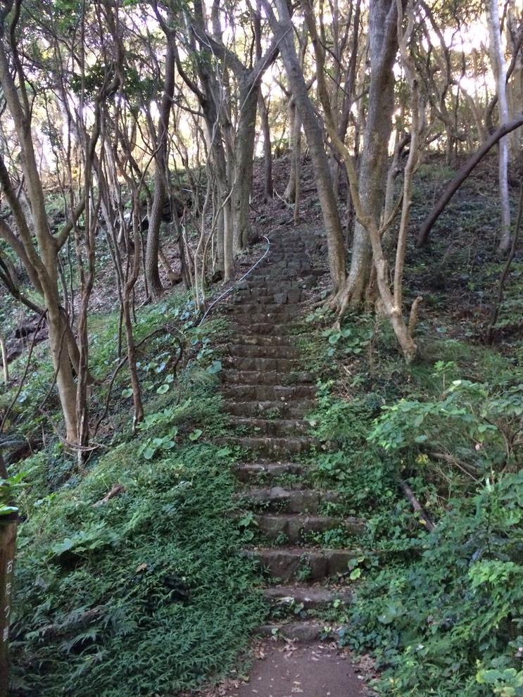 20140818_071432007_iOS