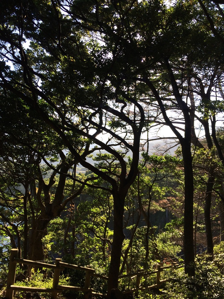 20140818_071847085_iOS