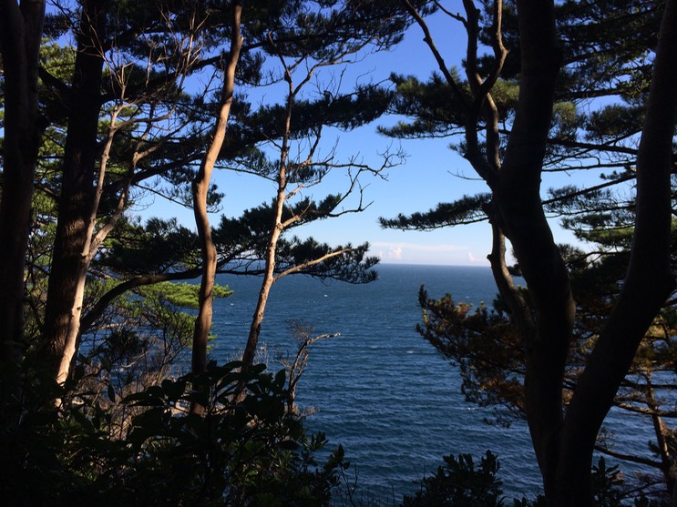 20140818_072023938_iOS