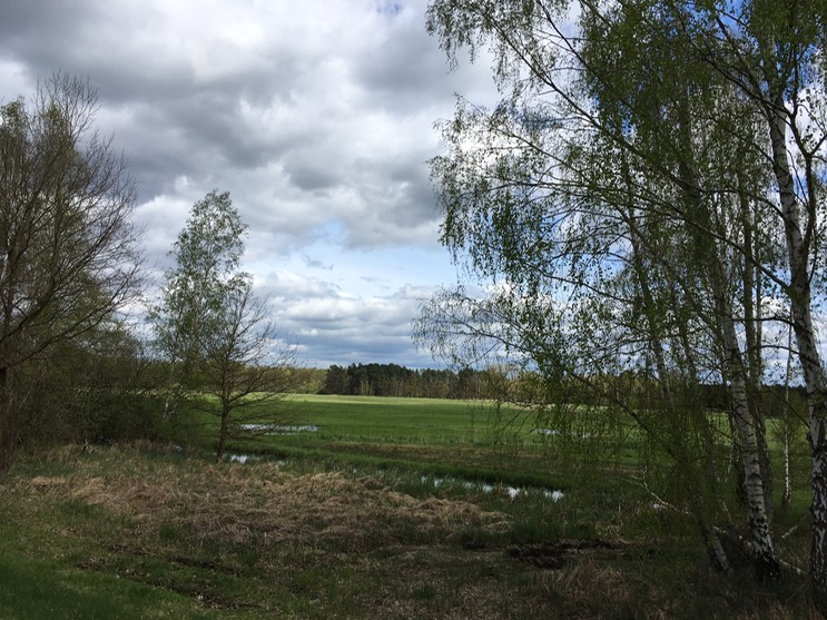 2017-04-14_13-48-52_073