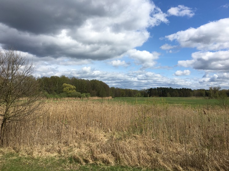 2017-04-14_13-54-19_764