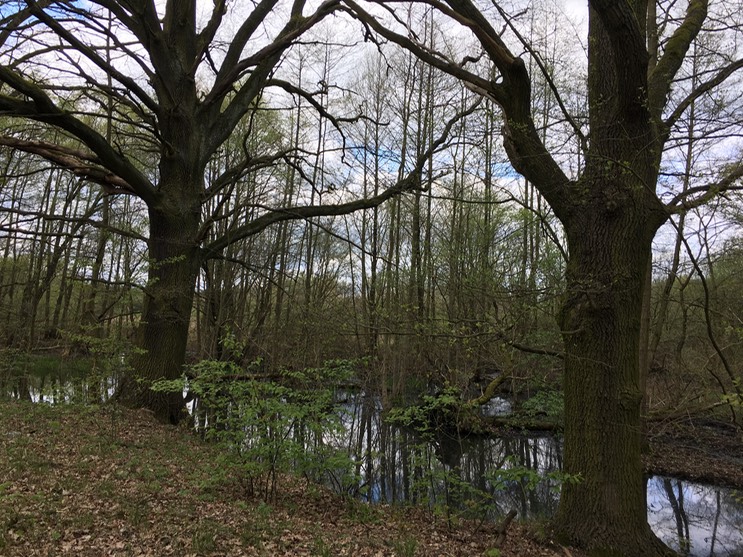 2017-04-14_14-02-54_668