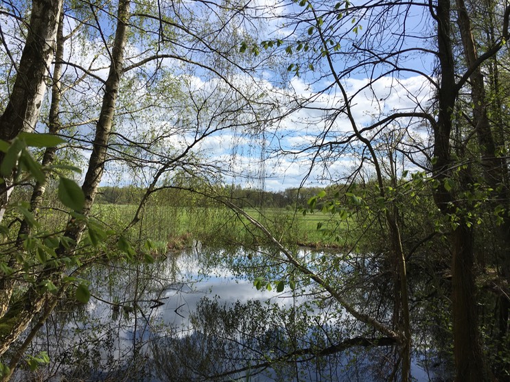 2017-04-14_14-42-07_027