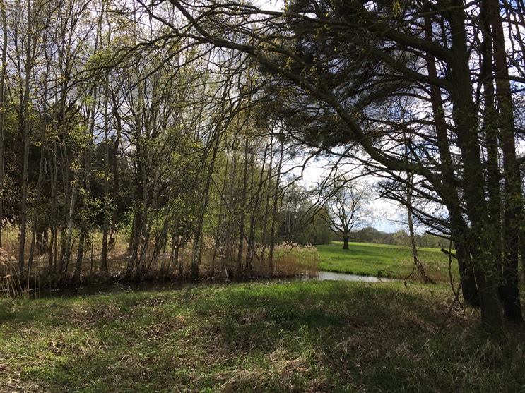 2017-04-14_14-56-45_401