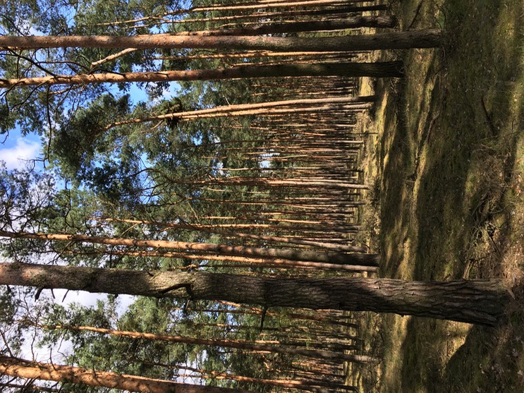 2017-04-14_15-01-38_185