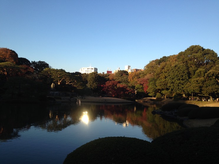 Photo 01-12-2013 15 39 53