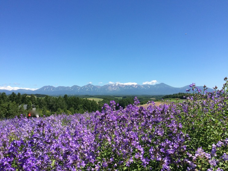 Photo 08-07-2015 13 01 53