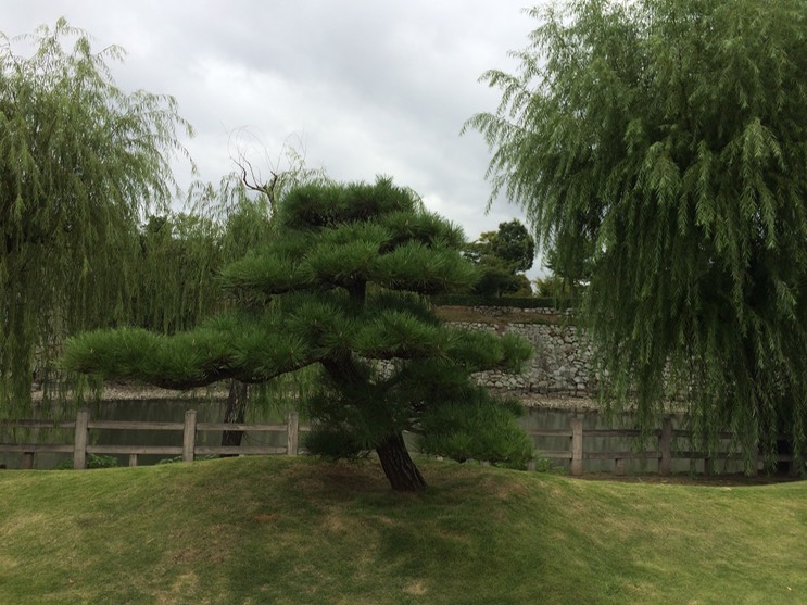 Photo 08-09-2015 13 21 13