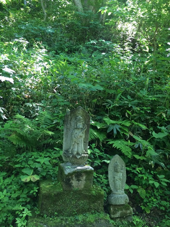 Photo 09-07-2015 11 00 14