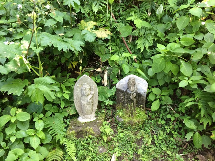 Photo 09-07-2015 11 04 19