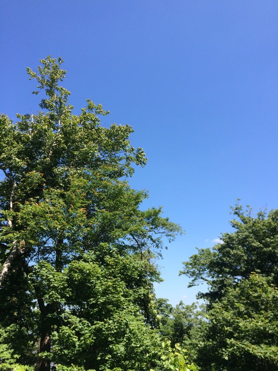 Photo 09-07-2015 11 16 03