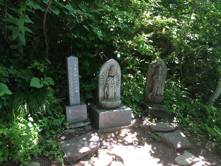 Photo 09-07-2015 11 28 10