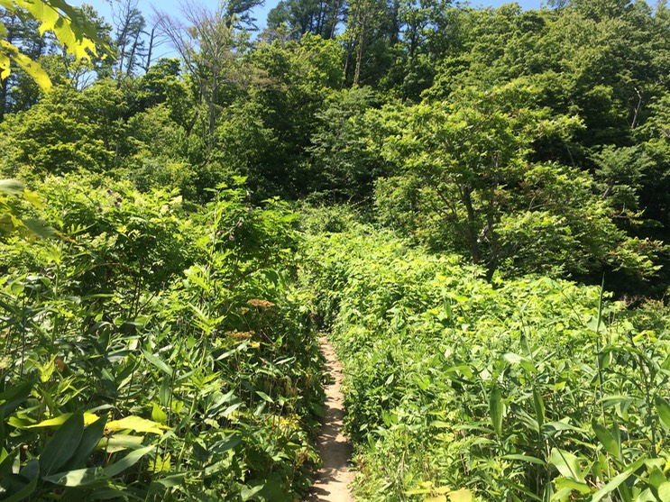 Photo 09-07-2015 12 51 59