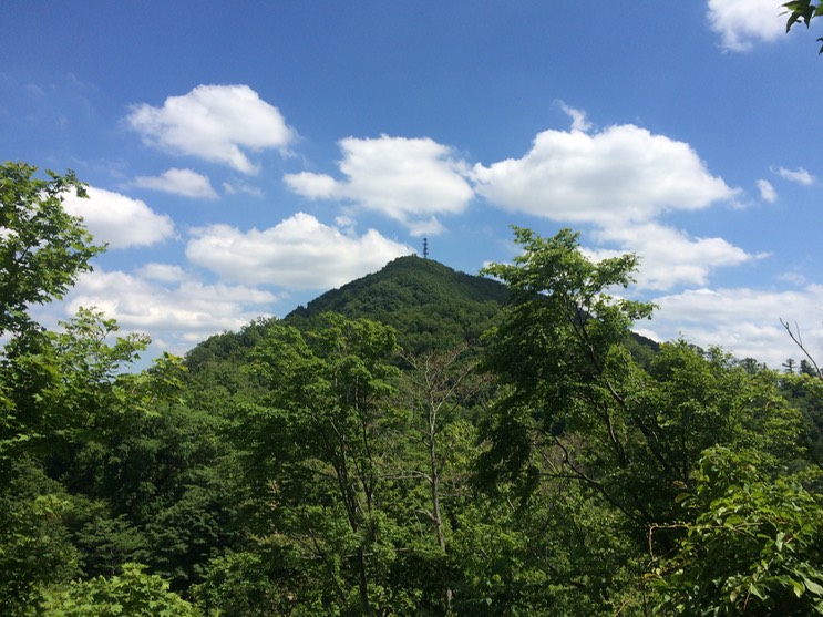 Photo 09-07-2015 12 55 09