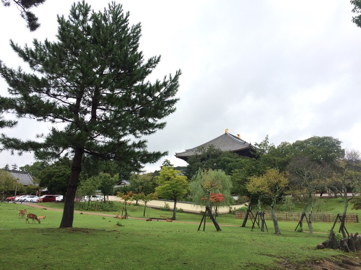 Photo 09-09-2015 10 43 57