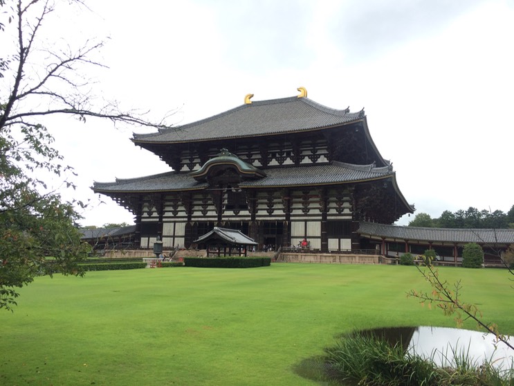 Photo 09-09-2015 11 08 27