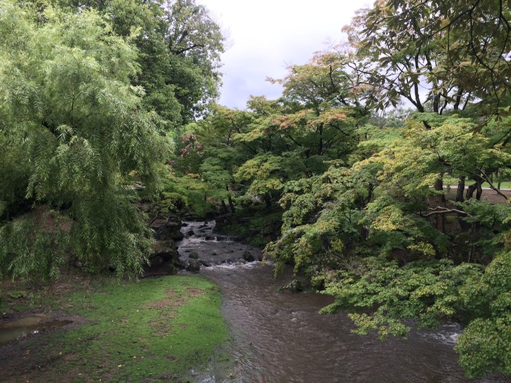 Photo 09-09-2015 11 56 33