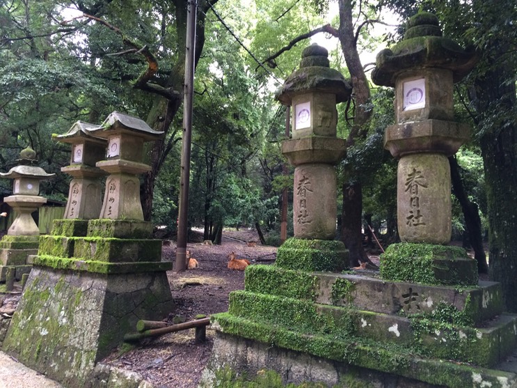 Photo 09-09-2015 12 04 45