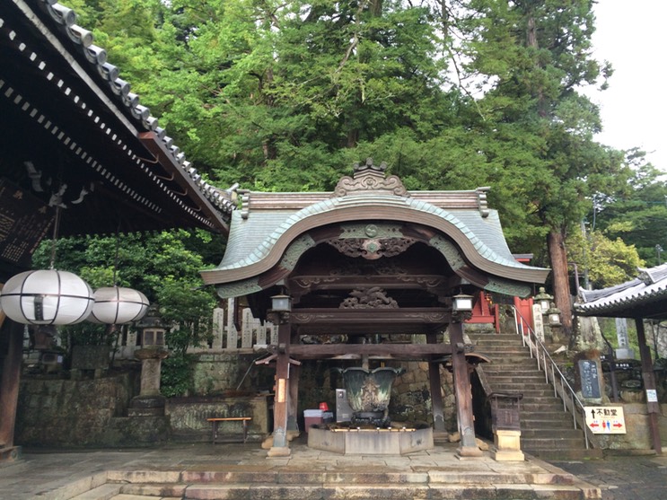 Photo 09-09-2015 13 03 39