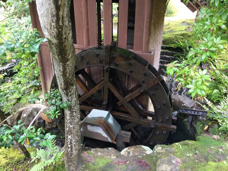 Photo 09-09-2015 13 31 41