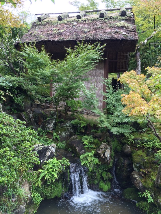 Photo 09-09-2015 13 32 50