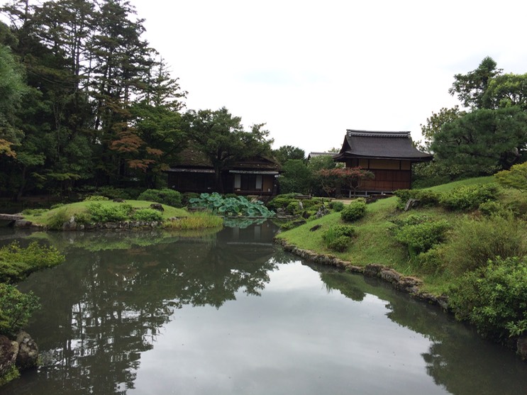 Photo 09-09-2015 13 33 03