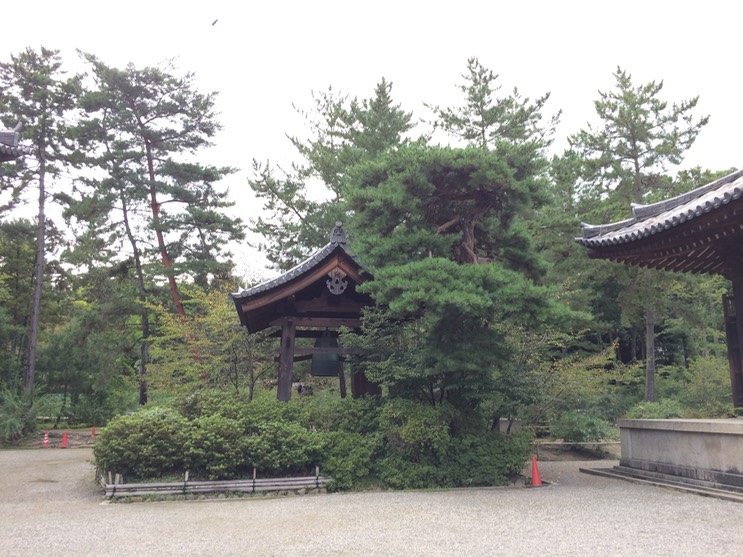 Photo 09-09-2015 15 47 33