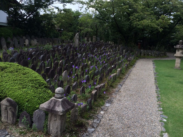 Photo 10-09-2015 09 29 31