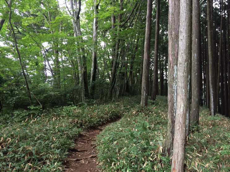 Photo 13-08-2014 15 22 03