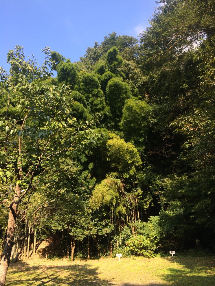 Photo 14-09-2014 15 02 05