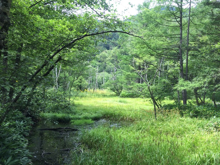 Photo 16-08-2015 13 03 09