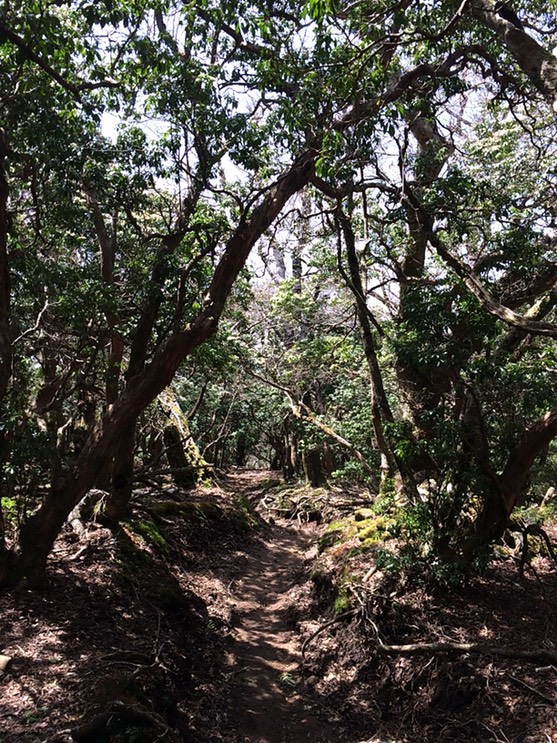 Photo 18-04-2015 12 26 53