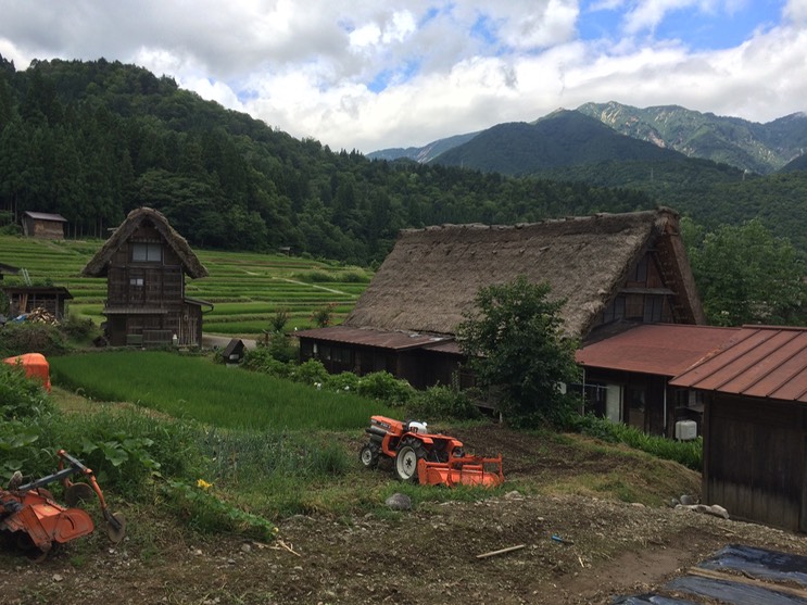 Photo 18-08-2015 11 40 03 (1)