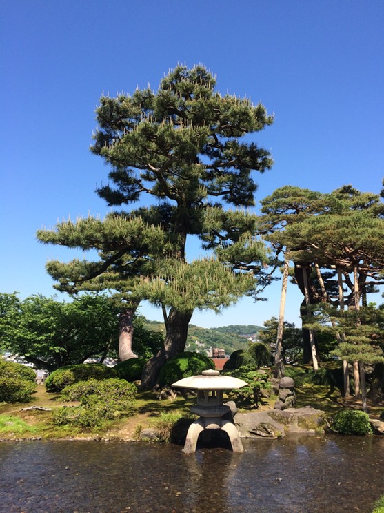 Photo 21-05-2015 14 00 35