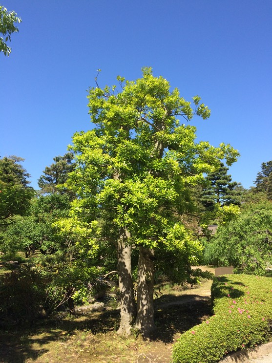 Photo 21-05-2015 14 13 09