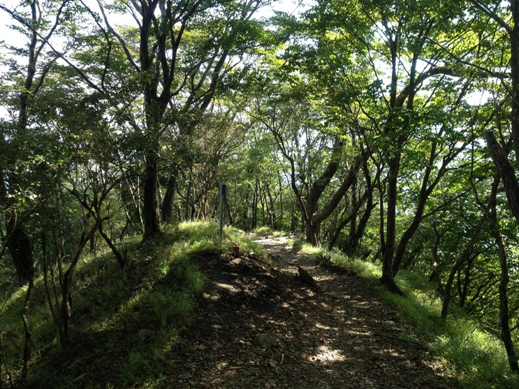 Photo 21-09-2013 14 17 53