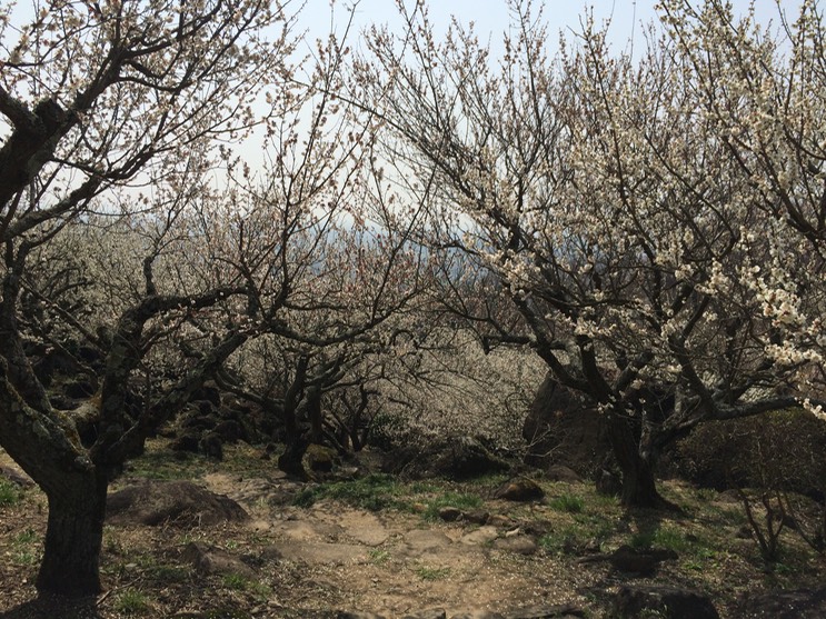 Photo 22-03-2015 12 57 29