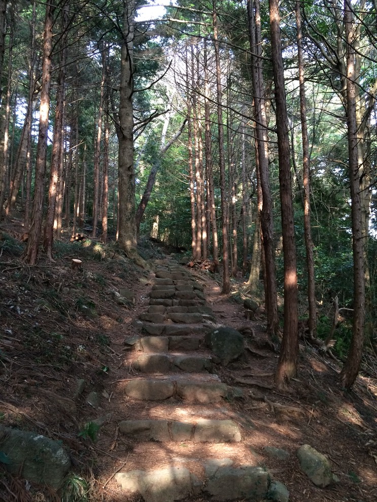 Photo 22-03-2015 15 42 31