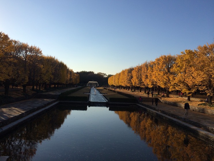 Photo 22-11-2014 15 09 50