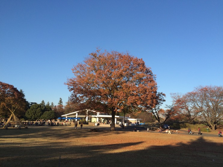 Photo 22-11-2014 15 14 26