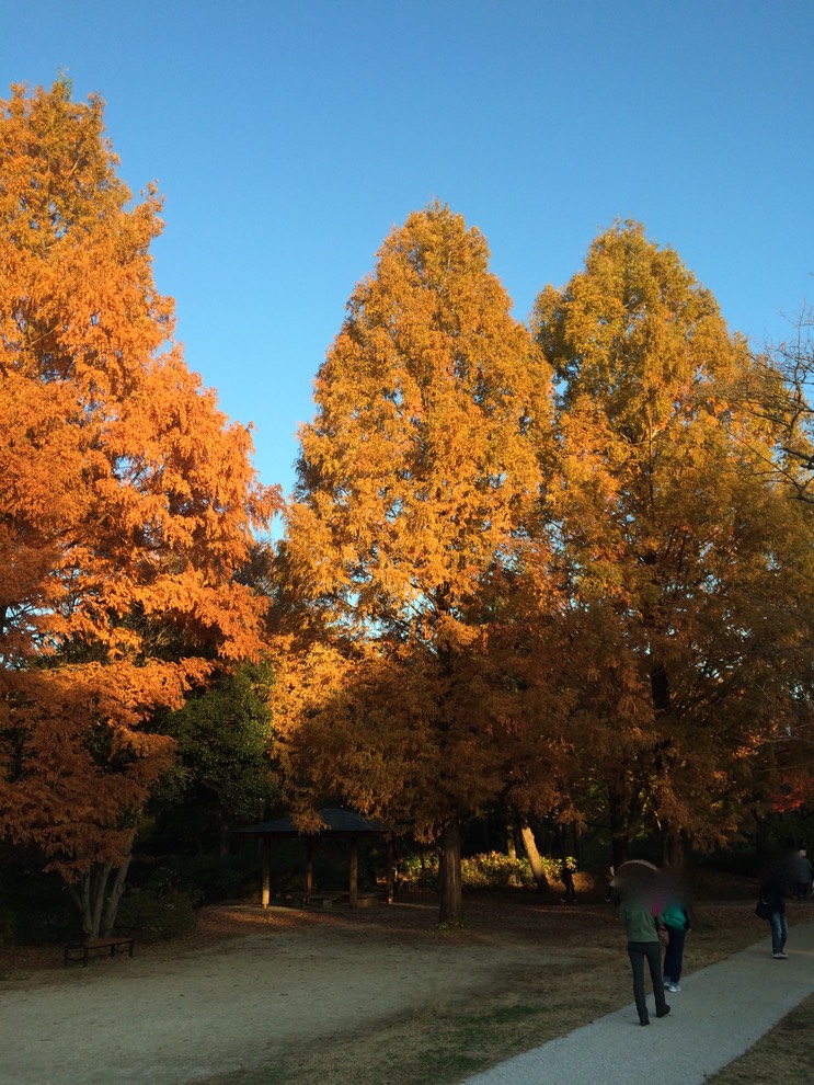 Photo 22-11-2014 15 48 15