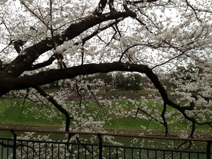 Photo 23-03-2013 14 12 06