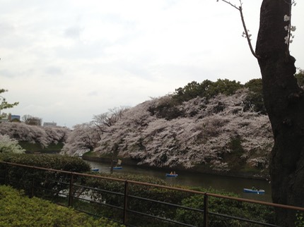 Photo 23-03-2013 14 24 38